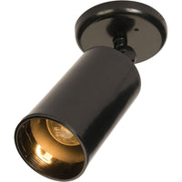 Spots 1-Light Can Wall/Flush Mount