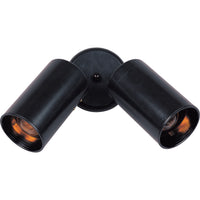 Spots 2-Light Can Wall/Flush Mount