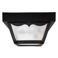 1-Light Outdoor Flush Mount