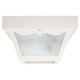 2-Light Outdoor Flush Mount