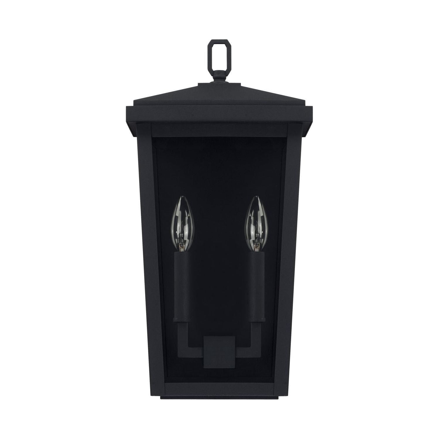 Donnelly 2-Light Outdoor Wall Lantern