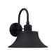 Brock 1-Light Outdoor Wall Lantern