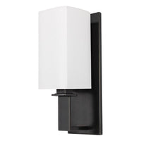Baldwin 1-Light Wall Sconce