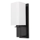 Baldwin 1-Light Wall Sconce