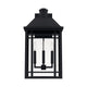 Braden 3-Light Outdoor Wall Lantern