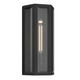 Berens 16" 1-Light Outdoor Wall Light