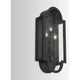 Monroe 3-Light Wall Mount