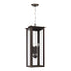 Hunt 4-Light Outdoor Hanging Lantern