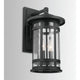 Mission Hills 2-Light Outdoor Wall Lantern