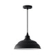 RLM 1-Light Outdoor Hanging Lantern