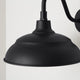 RLM 1-Light Outdoor Hanging Lantern