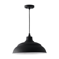 RLM 1-Light Outdoor Hanging Lantern