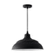 RLM 1-Light Outdoor Hanging Lantern
