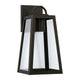 Leighton 1-Light Outdoor Wall Lantern