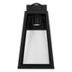 Leighton 1-Light Outdoor Wall Lantern