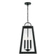 Leighton 4-Light Outdoor Hanging Lantern