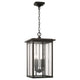 Barrett 4-Light Outdoor Hanging Lantern