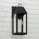 Burton 1-Light Outdoor Wall Lantern