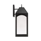 Burton 1-Light LED Outdoor Wall Lantern