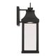 Bradford 1-Light LED Outdoor Wall Lantern