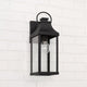 Bradford 1-Light Outdoor Wall Lantern