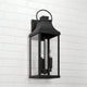 Bradford 3-Light Outdoor Wall Lantern