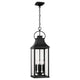 Bradford 4-Light Outdoor Hanging Lantern