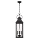 Bradford 4-Light Outdoor Hanging Lantern