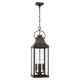 Bradford 4-Light Outdoor Hanging Lantern