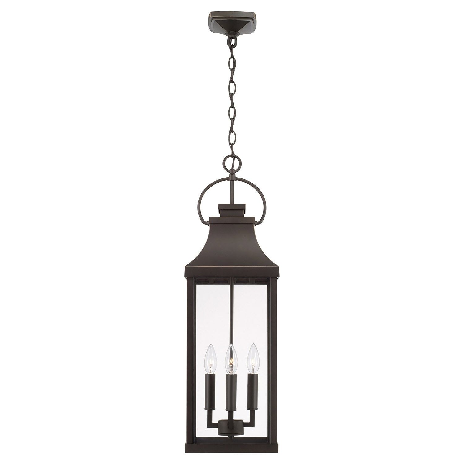 Bradford 4-Light Outdoor Hanging Lantern