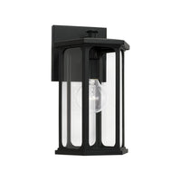 Walton 1-Light Outdoor Wall Lantern