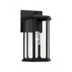 Walton 1-Light Outdoor Wall Lantern