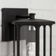 Walton 1-Light Outdoor Wall Lantern
