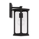 Walton 1-Light Outdoor Wall Lantern