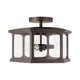 Walton 3-Light Outdoor Semi Flush Mount