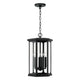 Walton 4-Light Outdoor Hanging Lantern