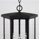 Walton 4-Light Outdoor Hanging Lantern
