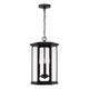 Walton 4-Light Outdoor Hanging Lantern