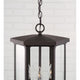 Walton 4-Light Outdoor Hanging Lantern