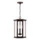 Walton 4-Light Outdoor Hanging Lantern