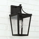 Adair 1-Light Outdoor Wall Lantern