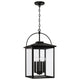 Bryson 4-Light Outdoor Hanging Lantern