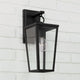 Elliott 1-Light Outdoor Wall Lantern