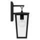 Elliott 1-Light Outdoor Wall Lantern