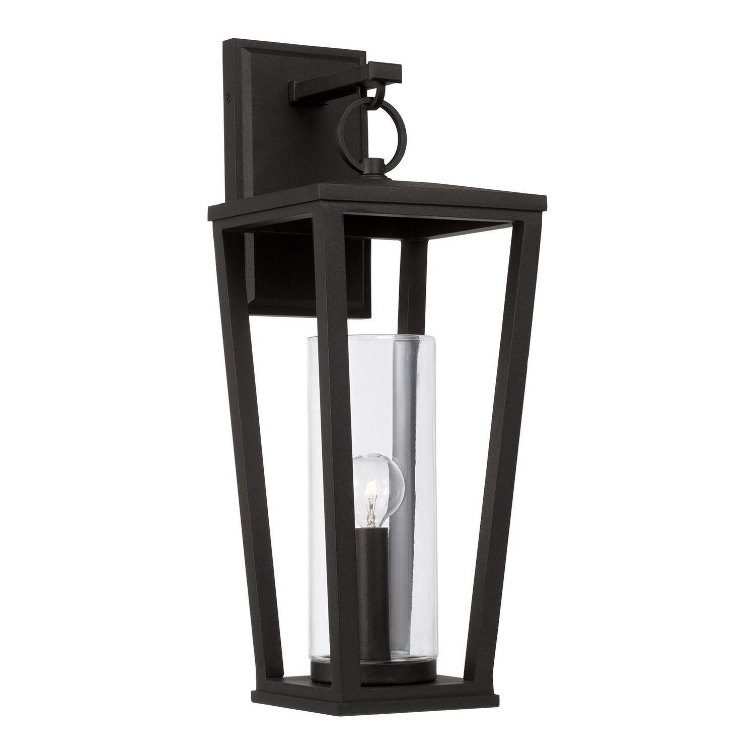 Elliott 1-Light Outdoor Wall Lantern