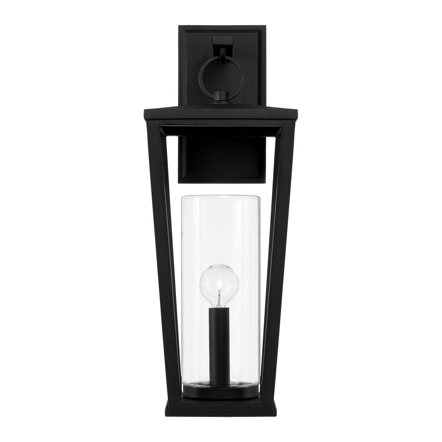 Elliott 1-Light Outdoor Wall Lantern