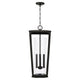 Elliott 3-Light Outdoor Hanging Lantern