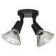 2-Light Outdoor Floodlight