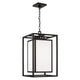 Aiden 1-Light Outdoor Hanging Lantern