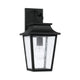Chandler 1-Light Outdoor Wall Lantern